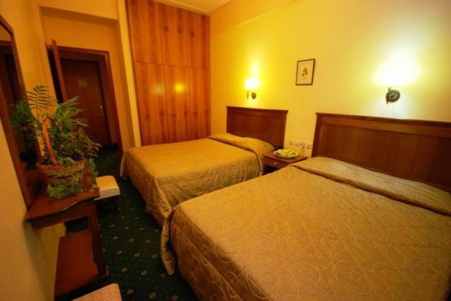 Hotel Elvetia Karpenisi Phòng bức ảnh